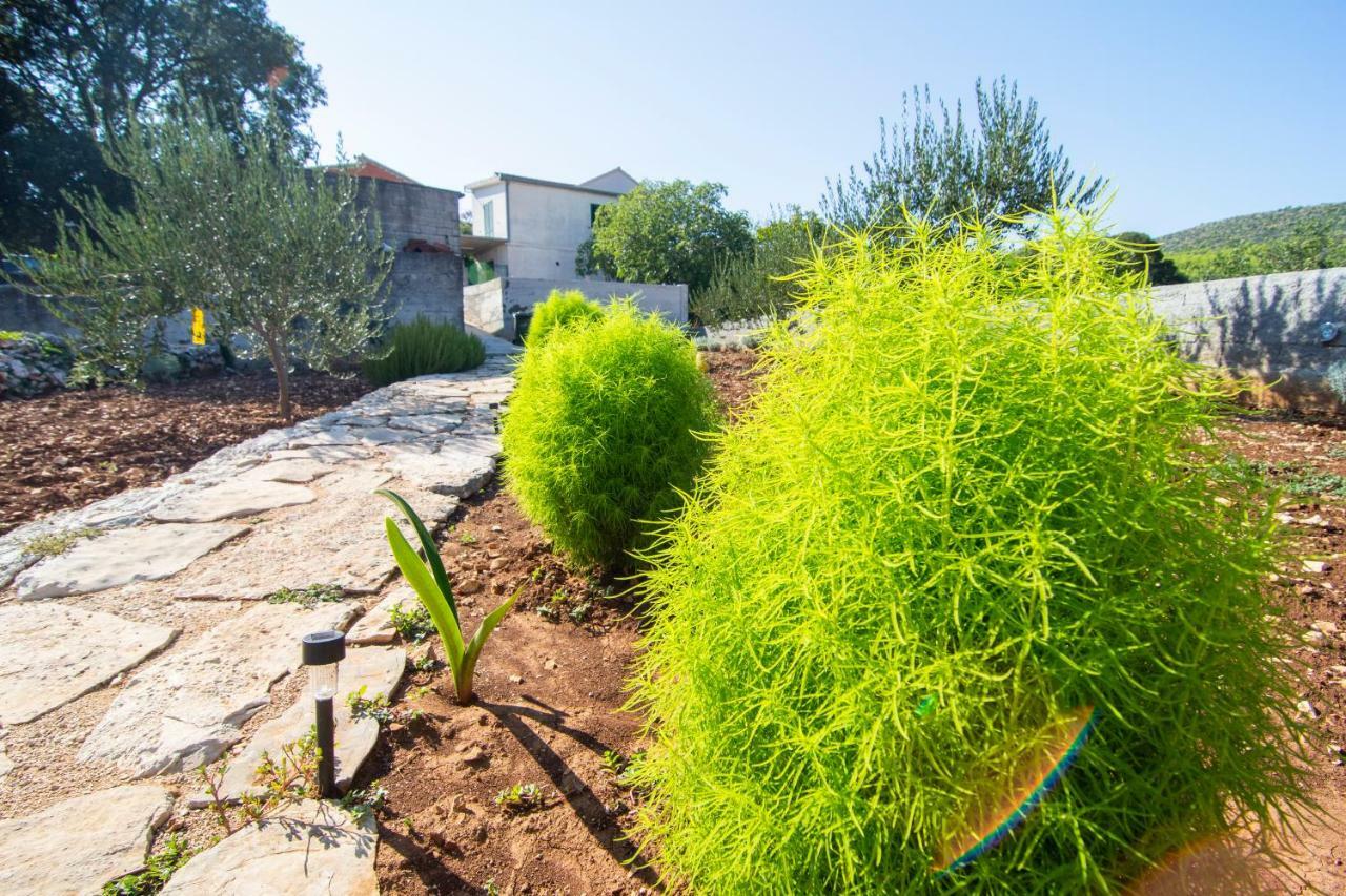 Apartmani Perkovic Gustirna Exterior foto